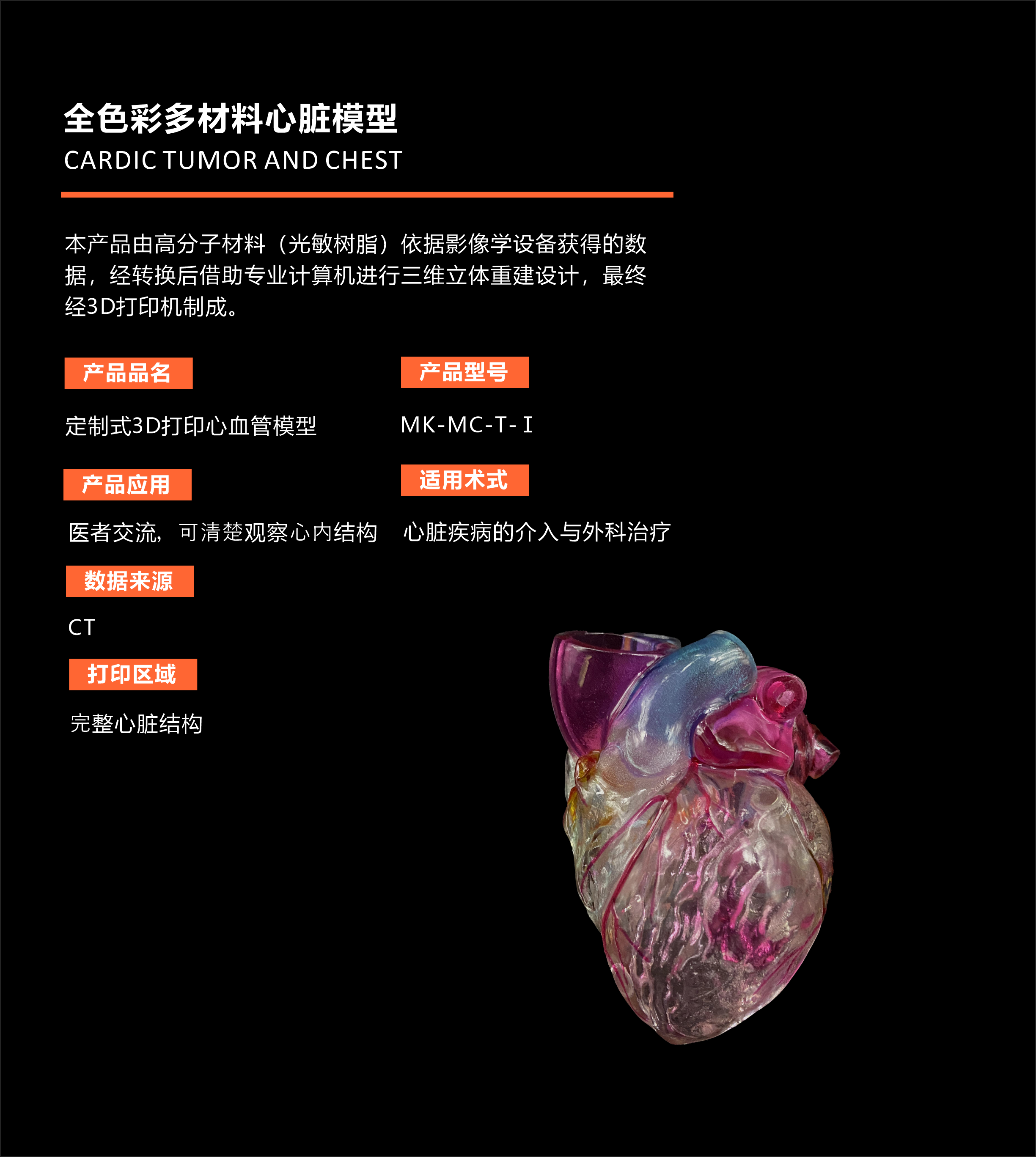 全色彩多材料心脏模型.png